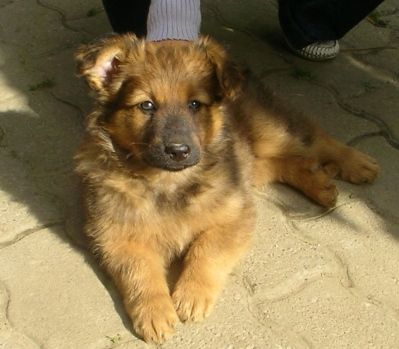 Balou am 16 Mai 2009