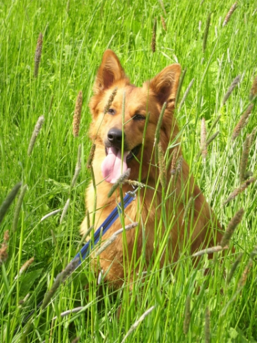 Balou am 24 Mai 2010