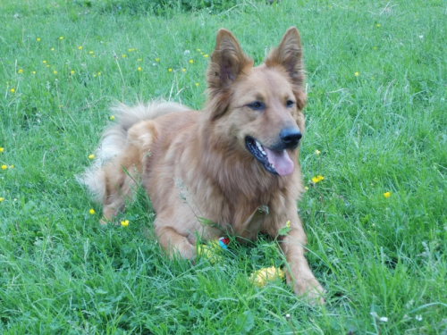 Balou am 7 Mai 2012