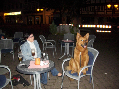 Balou am 11 Juni 2011