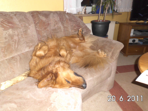 Balou am 20 Juni 2011