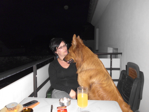 Balou am 22 Juni 2011