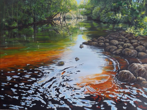 Flusslandschaft 24.01.2019