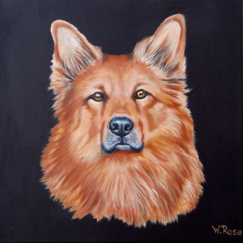 Balou Öl/Lw 30cm x 30cm