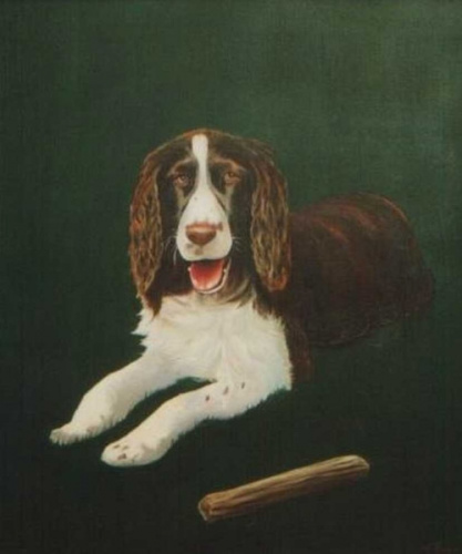 Gino Öl/Lw 60cm x 50cm